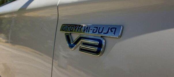 El análisis del especialista